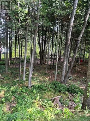 195 Geralyn, Miramichi, NB - Outdoor With View