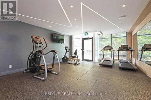 350 - 621 Sheppard Avenue E, Toronto (Bayview Village), ON - Indoor Photo Showing Gym Room