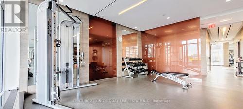 1210 - 121 Mcmahon Drive, Toronto (Bayview Village), ON - Indoor Photo Showing Gym Room