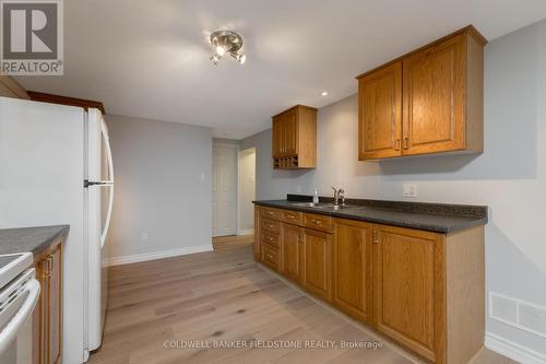 17 Hewson Crescent, Halton Hills, ON - Indoor Photo Showing Kitchen With Double Sink