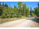 2481 Squilax-Anglemont Road Lot# 30, Lee Creek, BC 