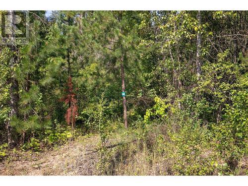 2481 Squilax-Anglemont Road Lot# 30, Lee Creek, BC 