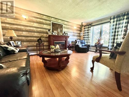 115 Road To The Isles Other, Campbellton, NL - Indoor Photo Showing Living Room With Fireplace