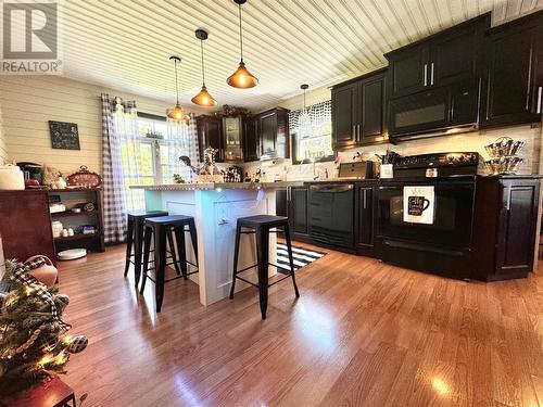 115 Road To The Isles Other, Campbellton, NL - Indoor Photo Showing Kitchen With Upgraded Kitchen