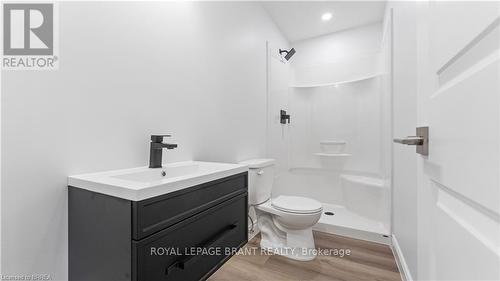 A - 24 Balfour Street, Brantford, ON - Indoor Photo Showing Bathroom