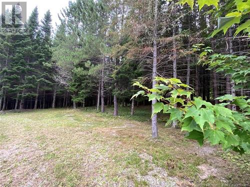 1454 2E Sault Road, Saint-Joseph-De-Madawaska, NB - Outdoor