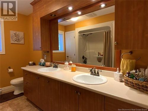 1454 2E Sault Road, Saint-Joseph-De-Madawaska, NB - Indoor Photo Showing Bathroom