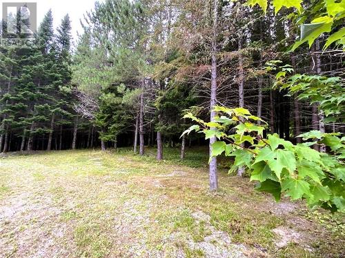 1454 2E Sault Road, Saint-Joseph-De-Madawaska, NB - Outdoor