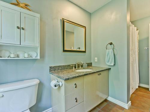 Salle de bains - 68 Rue Des Outardes, Eastman, QC - Indoor Photo Showing Bathroom