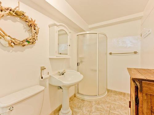 Salle de bains - 68 Rue Des Outardes, Eastman, QC - Indoor Photo Showing Bathroom