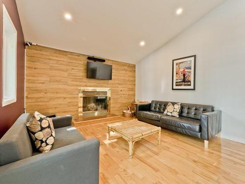 Living room - 68 Rue Des Outardes, Eastman, QC - Indoor Photo Showing Living Room With Fireplace