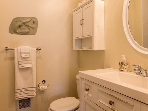 Ensuite bathroom - 203-28 Rue Pine, Lac-Brome, QC - Indoor Photo Showing Bathroom