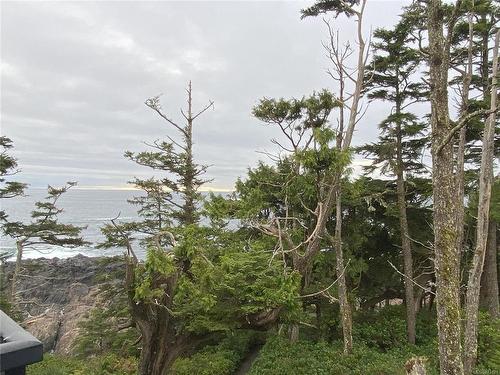 418-596 Marine Dr, Ucluelet, BC - Outdoor With View