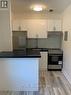 402 - 256 Sherbourne Street, Toronto (Moss Park), ON  - Indoor Photo Showing Kitchen 