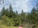 Lot 17 Copper Point  Way, Windermere, BC 