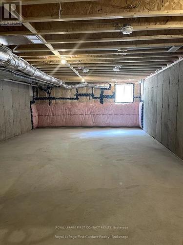 924 Robert Ferrie Drive, Kitchener, ON - Indoor Photo Showing Basement