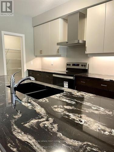 924 Robert Ferrie Drive, Kitchener, ON - Indoor Photo Showing Kitchen With Double Sink