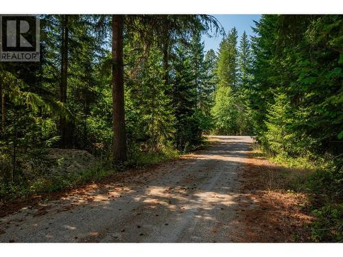 2718 Osachoff Road, South Slocan, BC - Outdoor With View