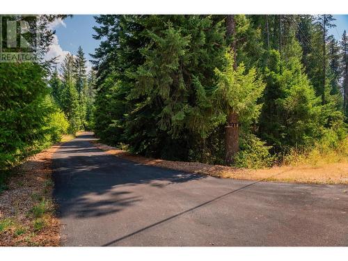 2718 Osachoff Road, South Slocan, BC - Outdoor With View