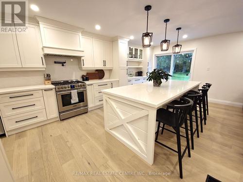 11719 Guelph Line, Milton (Brookville), ON - Indoor Photo Showing Kitchen With Upgraded Kitchen