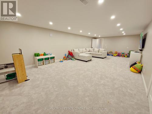 11719 Guelph Line, Milton (Brookville), ON - Indoor Photo Showing Basement