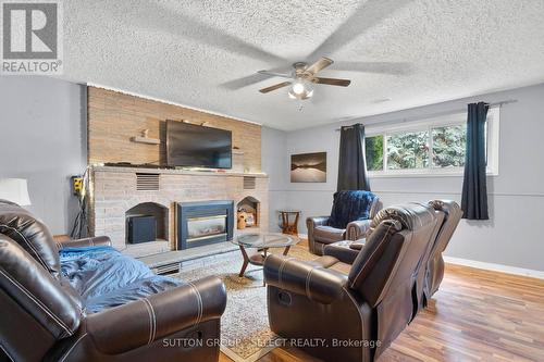 Lower level - 1707 Hansuld Street, London, ON - Indoor Photo Showing Living Room With Fireplace