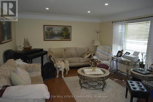 1349 Highway 56, Haldimand, ON - Indoor Photo Showing Living Room