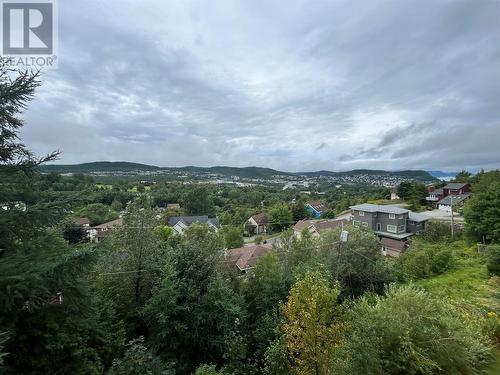 16 Hamilton Place, Corner Brook, NL - Outdoor With View