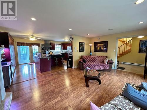 16 Hamilton Place, Corner Brook, NL - Indoor Photo Showing Living Room