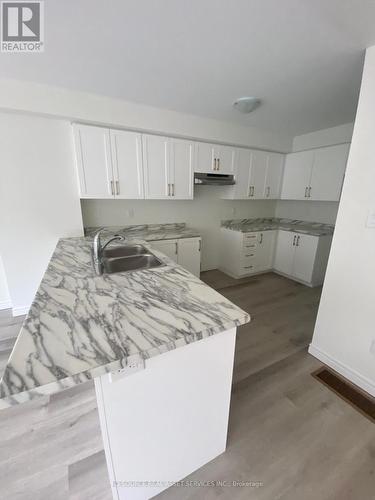 28 Dryden Lane, Hamilton, ON - Indoor Photo Showing Kitchen With Double Sink