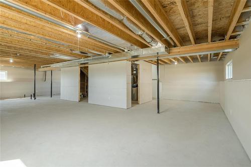 41 Falcon Drive, New Bothwell, MB - Indoor Photo Showing Basement