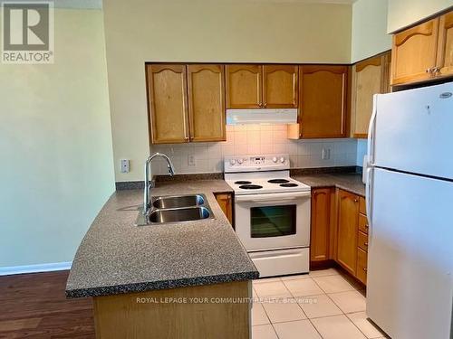 2106 - 231 Fort York Boulevard, Toronto (Niagara), ON - Indoor Photo Showing Kitchen With Double Sink