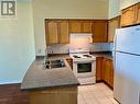 2106 - 231 Fort York Boulevard, Toronto (Niagara), ON  - Indoor Photo Showing Kitchen With Double Sink 