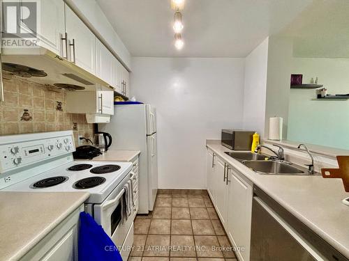 313 - 1 Lee Centre Drive, Toronto (Woburn), ON - Indoor Photo Showing Kitchen With Double Sink