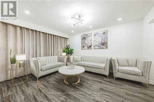 78 Riverdale Drive, Hamilton, ON - Indoor Photo Showing Living Room