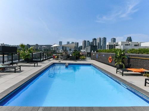 Pool - 620-315 Rue Richmond, Montréal (Le Sud-Ouest), QC - Outdoor With In Ground Pool With Backyard