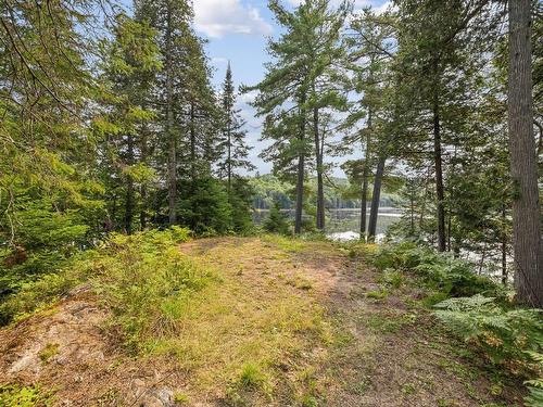 50 Ch. Scharf, Gracefield, QC - Outdoor With View