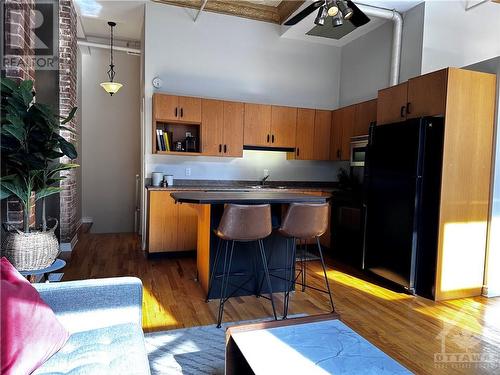 297 Dupuis Street Unit#107, Ottawa, ON - Indoor Photo Showing Kitchen With Double Sink