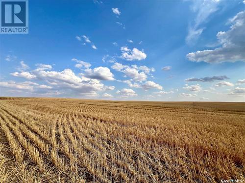 Biese Farm, Swift Current Rm No. 137, SK 