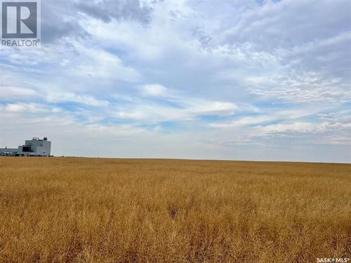 Biese Farm, Swift Current Rm No. 137, SK 