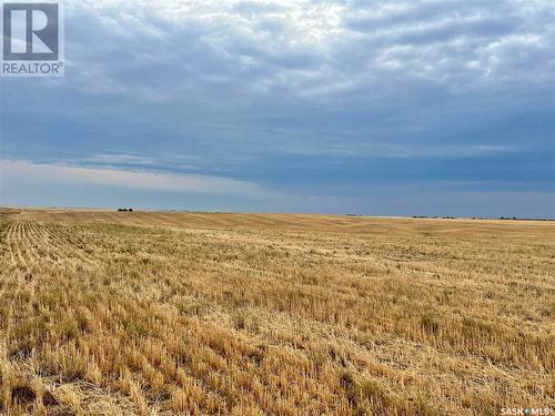 Biese Farm, Swift Current Rm No. 137, SK 