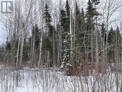 Oldfield Road, Bartibog, NB 