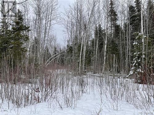 Oldfield Road, Bartibog, NB 