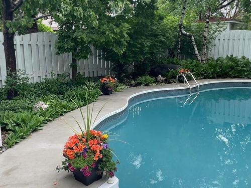 Pool - 370 Rue Léotable-Dubuc, La Prairie, QC - Outdoor With In Ground Pool With Backyard