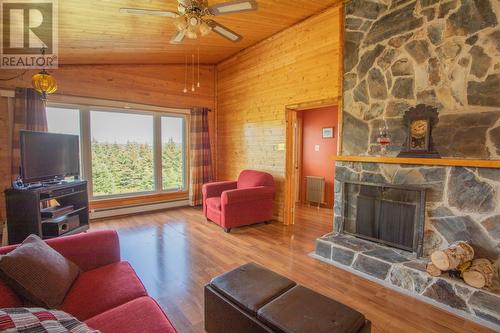 134 Main Road, Bristols Hope, NL - Indoor Photo Showing Living Room With Fireplace