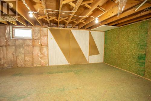 134 Main Road, Bristols Hope, NL - Indoor Photo Showing Basement