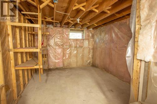 134 Main Road, Bristols Hope, NL - Indoor Photo Showing Basement