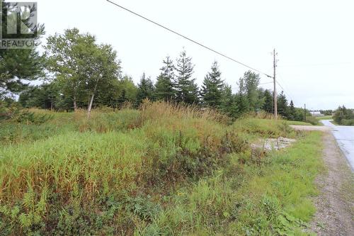 Lot 28 Aspen Avenue, Cormack, NL 