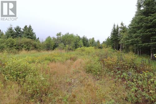 Lot 28 Aspen Avenue, Cormack, NL 