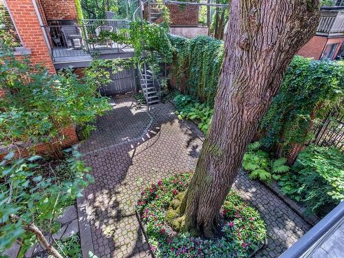 Backyard - 4896 Rue Hutchison, Montréal (Le Plateau-Mont-Royal), QC - Outdoor